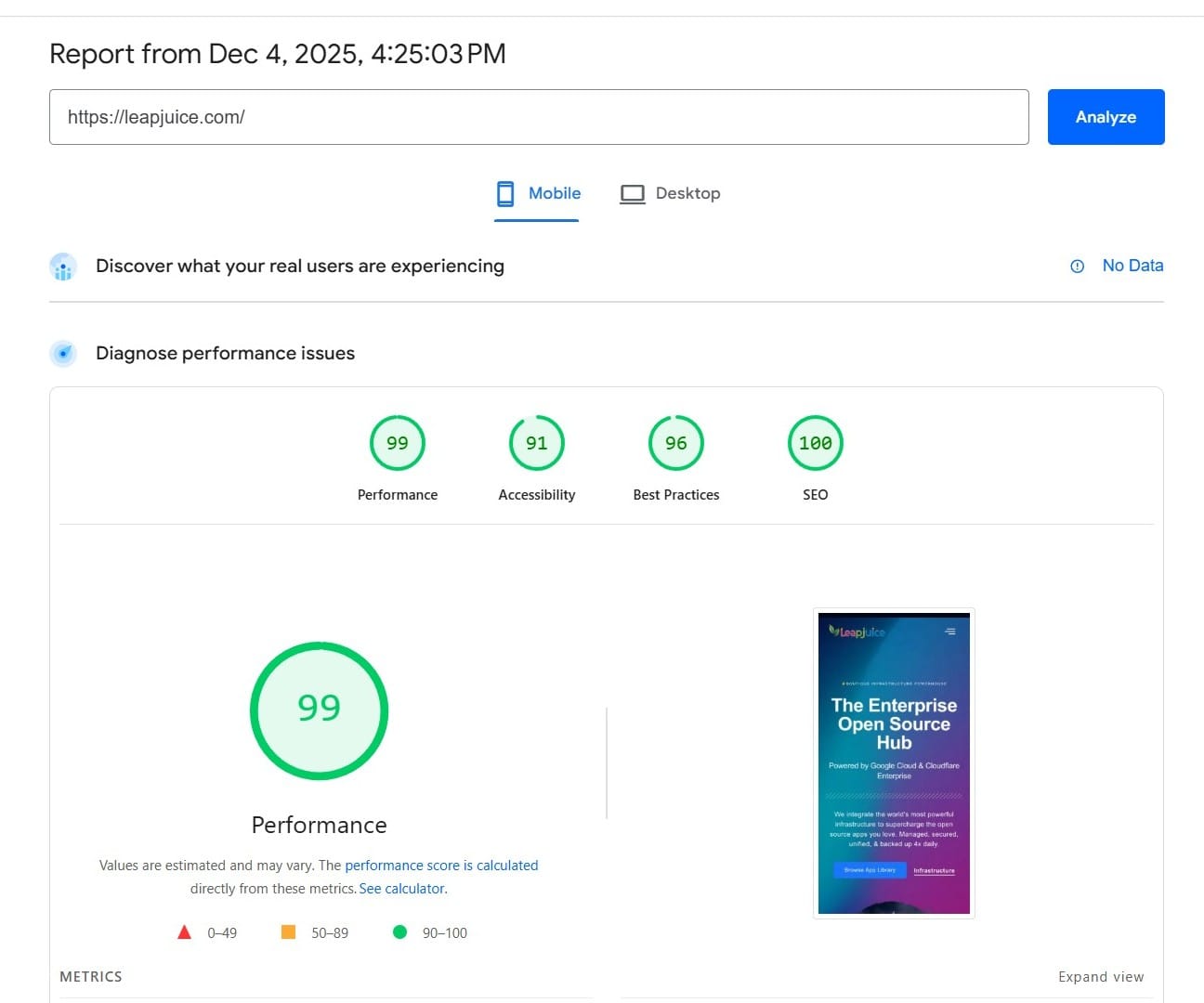 Leapjuice Platform Mobile Speedtest Result Google PageSpeed
